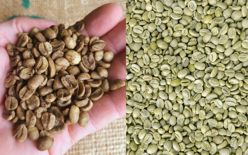 A before-and-after shot of green coffee beans, one side labeled 'Caffeinated' and the other 'Decaffeinated'.