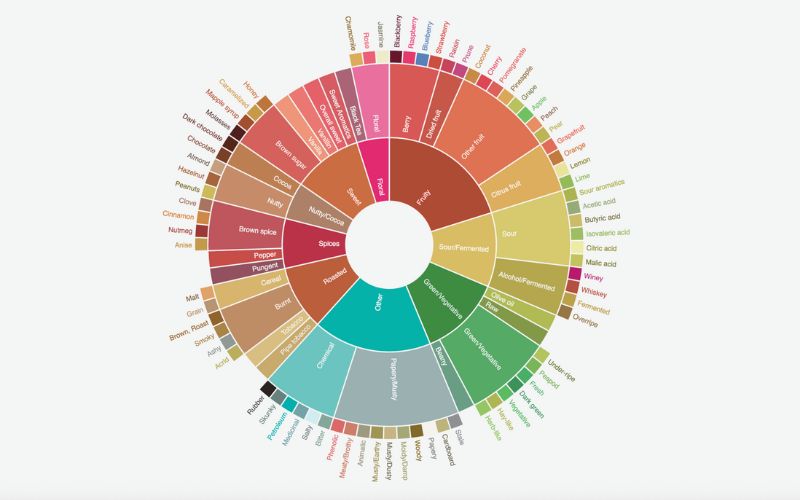 A simplified, artistic representation of the Coffee Taster's Flavor Wheel, focusing on its main color-coded sections.